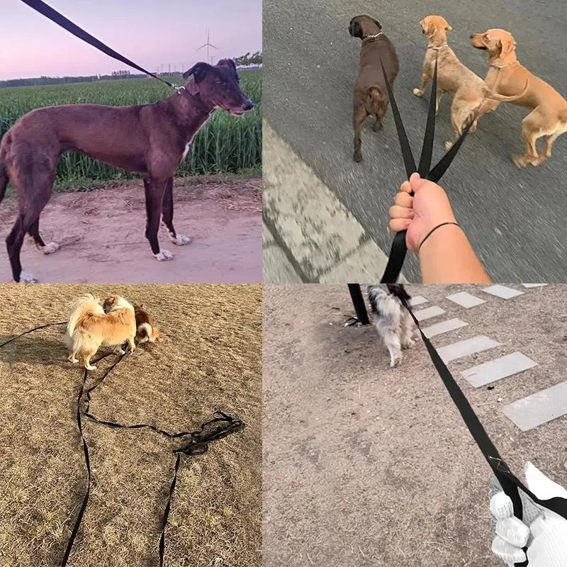 Long Strong Nylon Dog Leash 10m 15m 20m Pet Training Leash For Small Big Dogs Outdoor Walking Puppy Lead Rope Labrodor Supplies