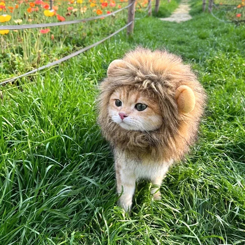 Cute Cat Hat Lion Headgear Elastic Autumn Winter Pet Hat Puppy Kittens Hat Party Photo Shoot Props Decoration Cat Accessories