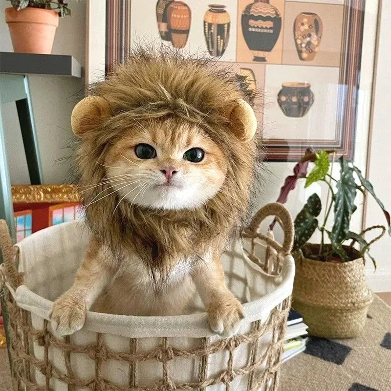 Cute Cat Hat Lion Headgear Elastic Autumn Winter Pet Hat Puppy Kittens Hat Party Photo Shoot Props Decoration Cat Accessories