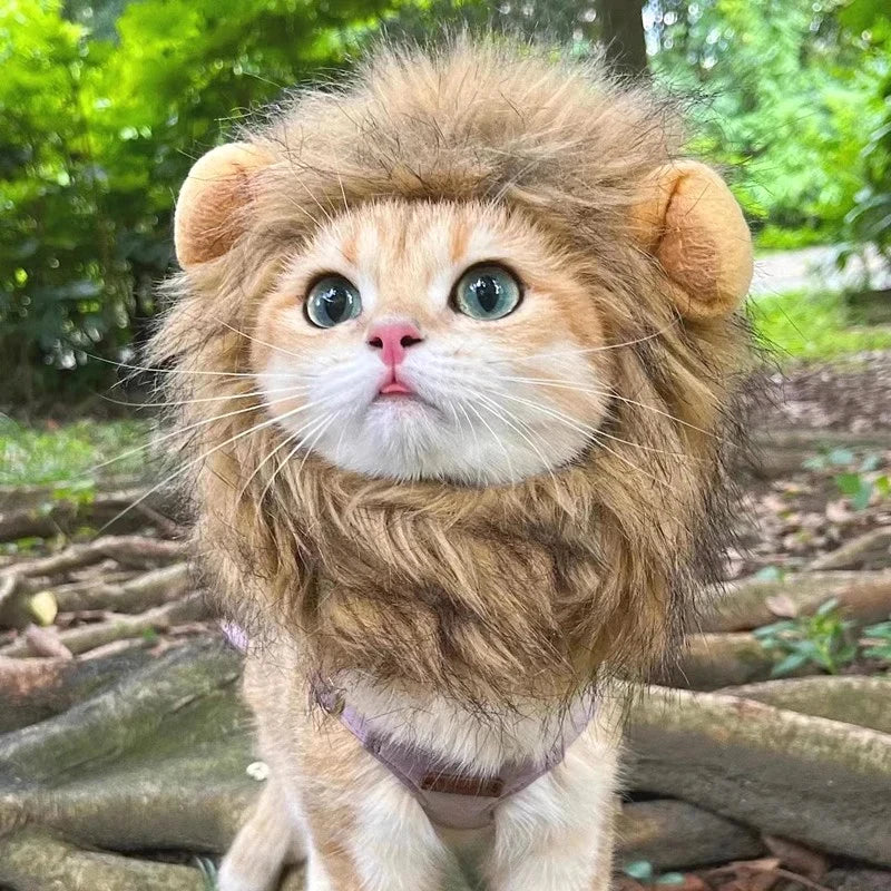 Cute Cat Hat Lion Headgear Elastic Autumn Winter Pet Hat Puppy Kittens Hat Party Photo Shoot Props Decoration Cat Accessories