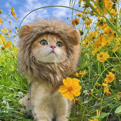 Cute Cat Hat Lion Headgear Elastic Autumn Winter Pet Hat Puppy Kittens Hat Party Photo Shoot Props Decoration Cat Accessories